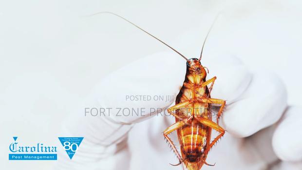 We Care for Your Homes Fumigation · Photo 3