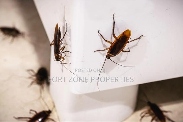 We Care for Your Homes Fumigation · Photo 4
