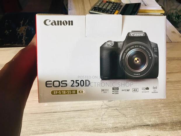 Affordable Quality With the Canon EOS 250D Bluetooth · Photo 1