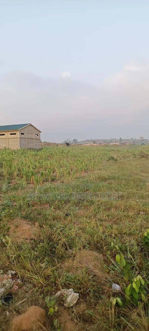 Two Plot of Land Amasaman Obom · Photo 3