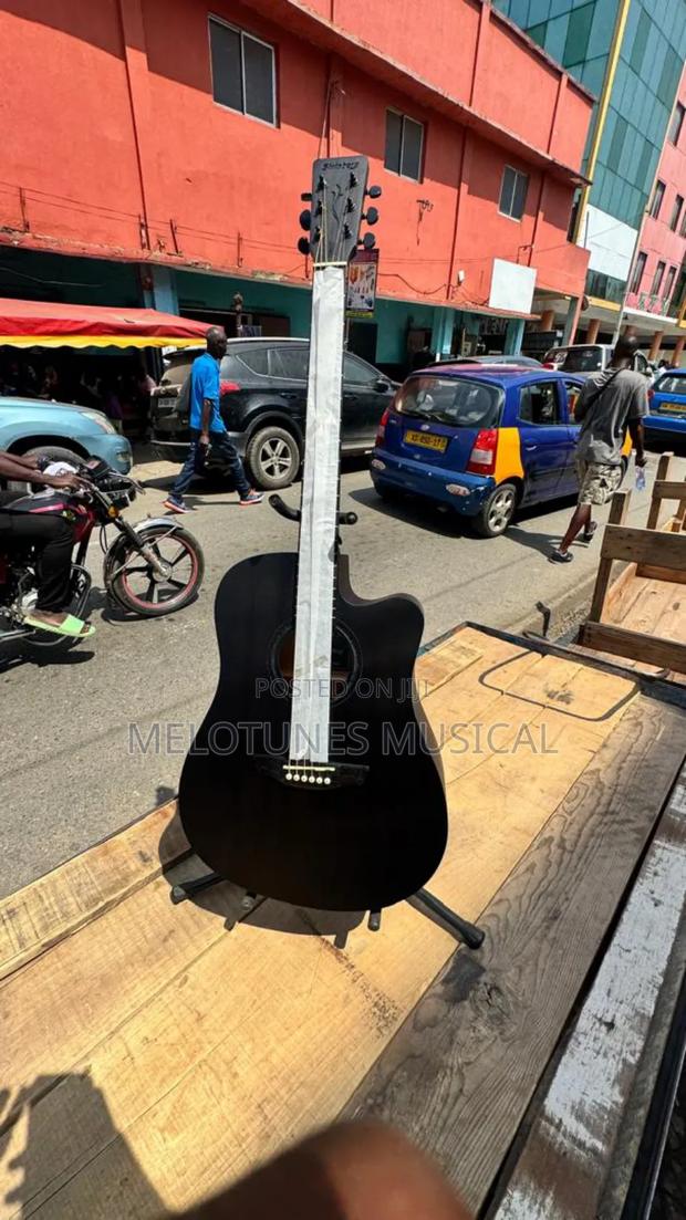 Stringberg Semi-Acoustic Guitar · Photo 3