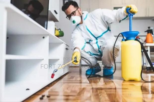 Ants Pest Control · Photo 2