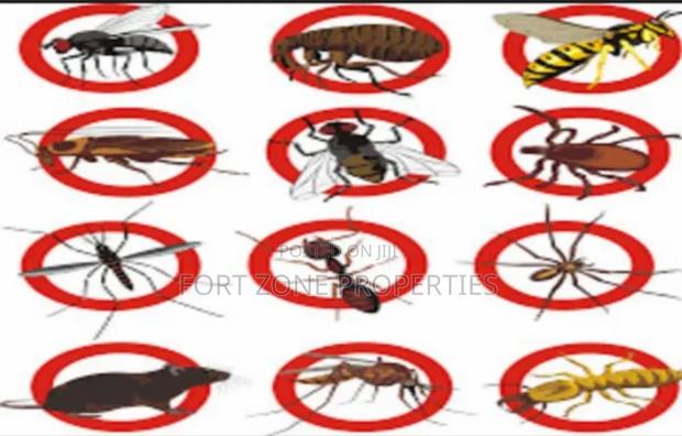 Easy Pest Control and Cleaning With Cleantex · Photo 2