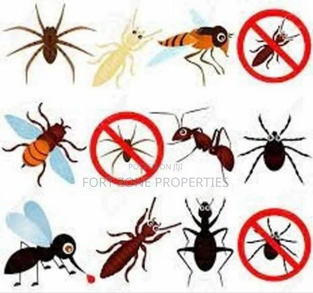 Easy Pest Control and Cleaning With Cleantex · Photo 3