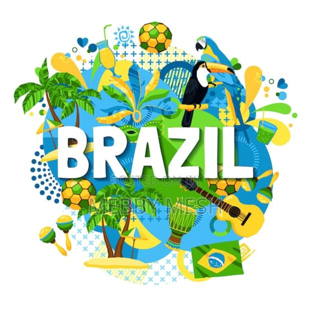 Travel to Brazil · Photo 2