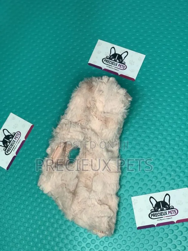 Toy Dog Clothings Series 049 · Photo 1