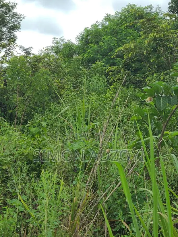 Registered 30,000 Acres of Farme Land Close to Water · Photo 4