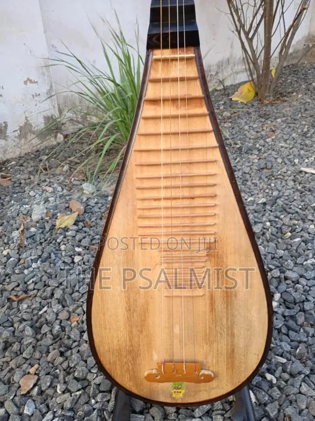 Pipa Chinese Traduitional Musical Instruments · Photo 4