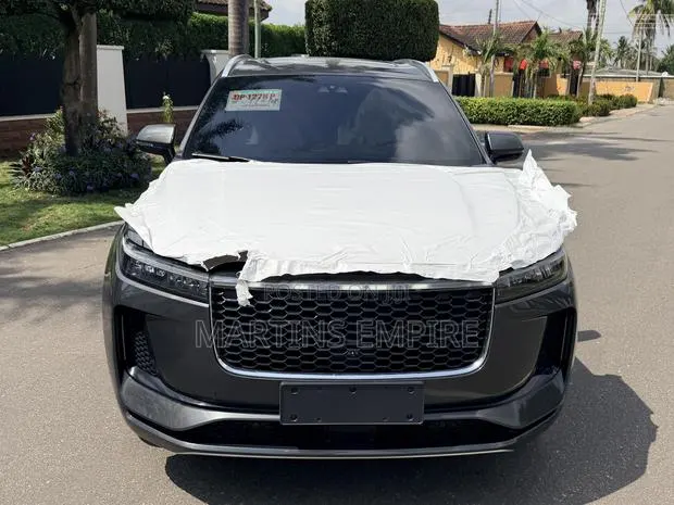 Li Auto One 2020 Gray · Photo 1