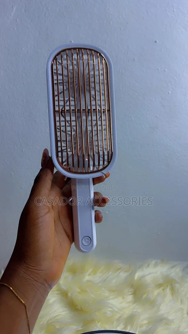 Hand Held Fan · Photo 1