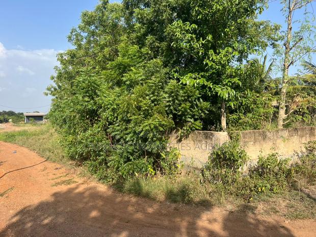 Plot for Sale at Afienya · Photo 2