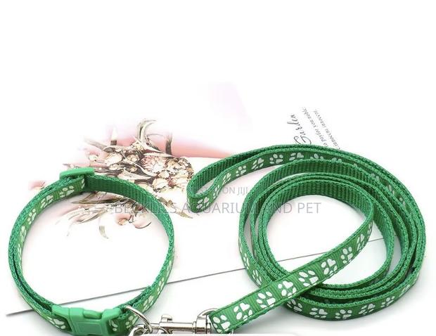 Colorful Dog Leash · Photo 1