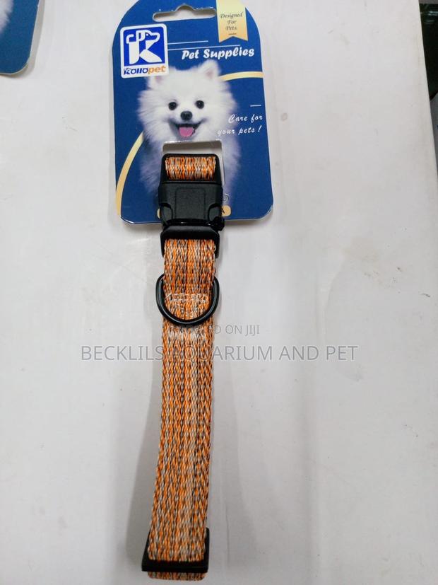 Dog Collars Available For All Types Of Dog · Photo 1