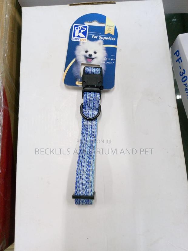 Dog Collars Available For All Types Of Dog · Photo 2
