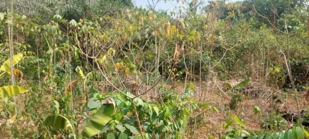 Kings Own Hands Land for Sale at Kwabere Kasaam · Photo 2