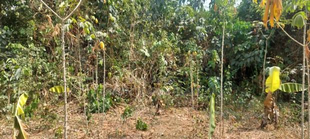 Kings Own Hands Land for Sale at Kwabere Kasaam · Photo 5