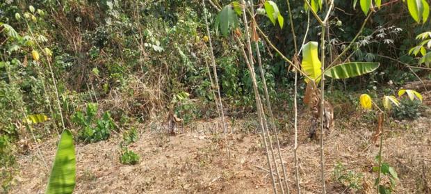 Kings Own Hands Land for Sale at Kwabere Kasaam · Photo 6