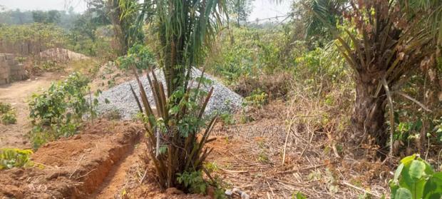 Kings Own Hands Land for Sale at Kwabere Kasaam · Photo 7