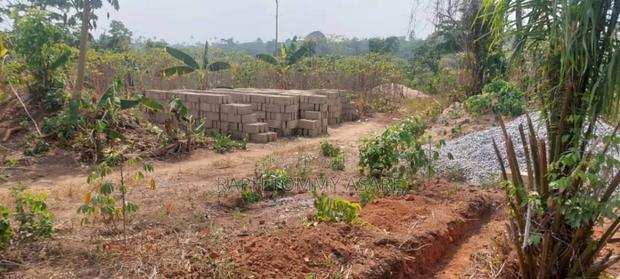 Kings Own Hands Land for Sale at Kwabere Kasaam · Photo 8