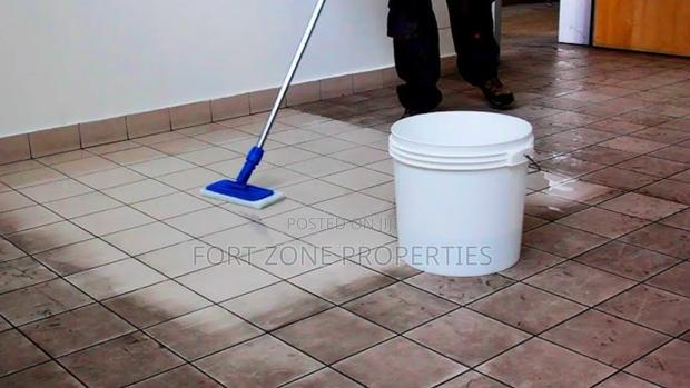 Home Cleaners and Disinfection · Photo 1