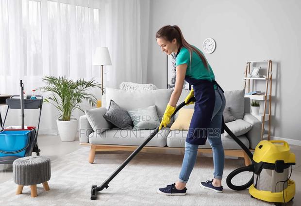 Clean House With Cleantex · Photo 1
