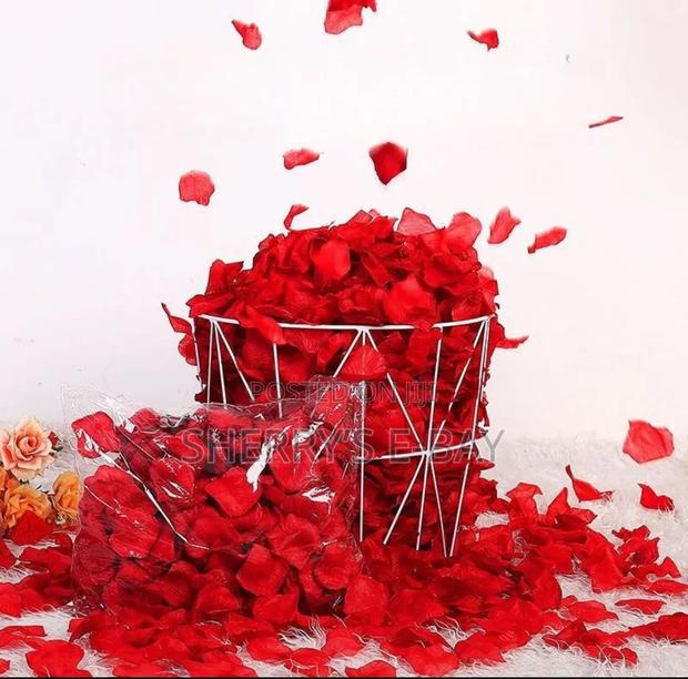 Rose Petals · Photo 4
