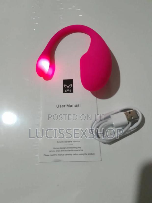 Phone Controlled Vibrator · Photo 1