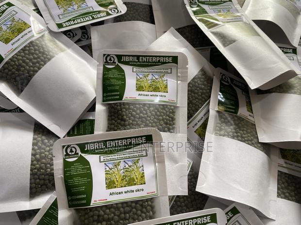 Ashanti Okro/White Ladies Finger, 45 Days Early Mature Okro Variety · Photo 2
