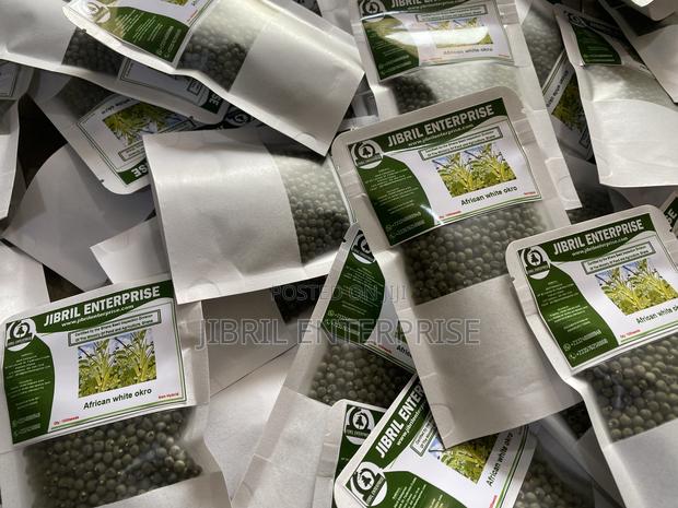 Ashanti Okro/White Ladies Finger, 45 Days Early Mature Okro Variety · Photo 4