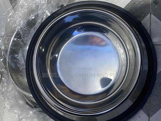 Extra Large Dog Bowls Available · Photo 1
