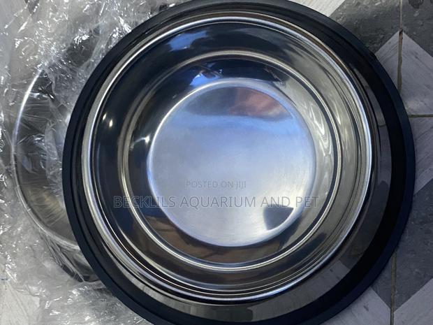 Extra Large Dog Bowls Available · Photo 2