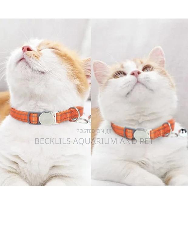 Dog and Cat Collars With Bells · Photo 4
