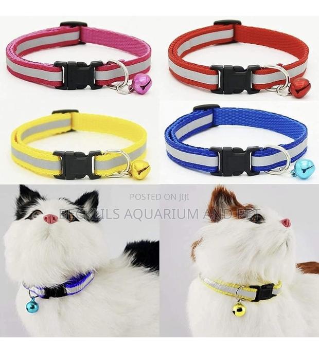 Dog and Cat Collars With Bells · Photo 1