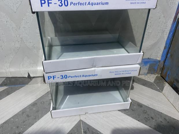 Table Top Aquarium · Photo 1