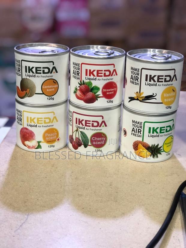 Ikeda Air Freshener · Photo 2