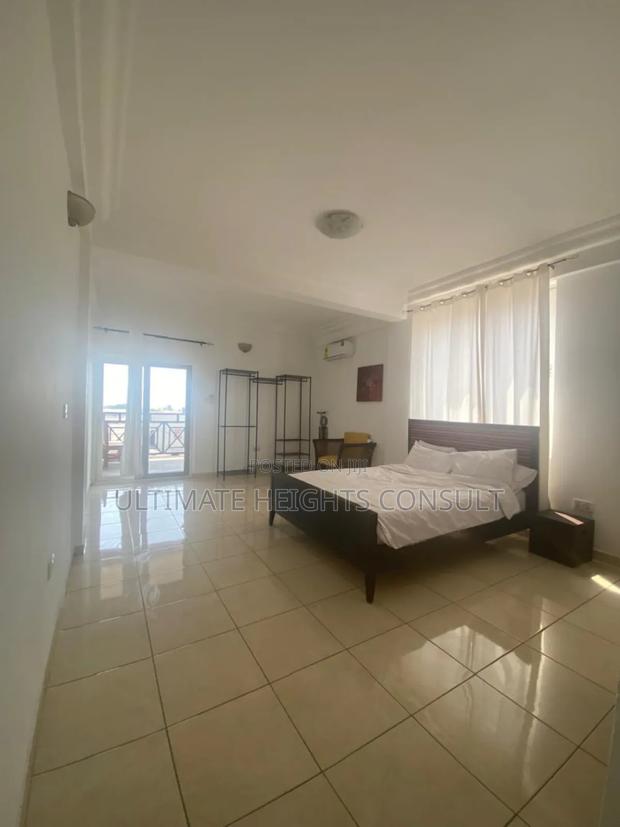 Furnished 2bdrm Apartment in Osu for rent · Photo 6
