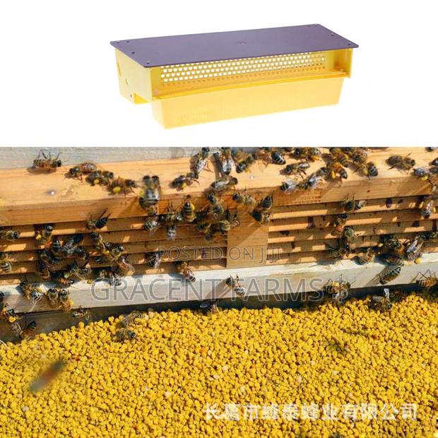Bee Pollen Collector · Photo 3