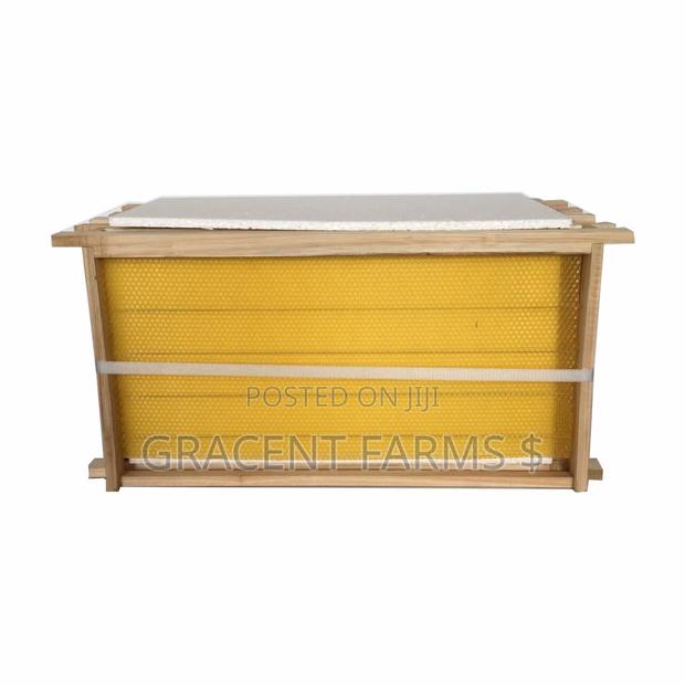 Hive Frame With Natural Wax Foundation Sheet · Photo 2
