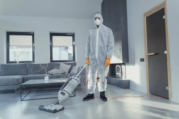 Cleaning of Carpet