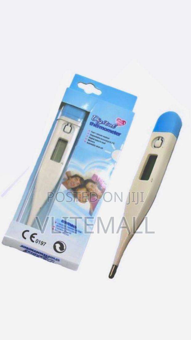 Clinical Thermometer · Photo 1