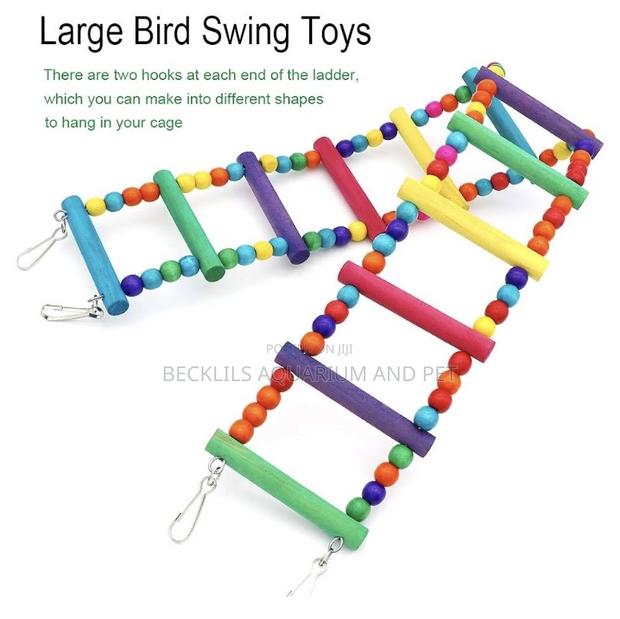 Parrot Play Toys · Photo 2