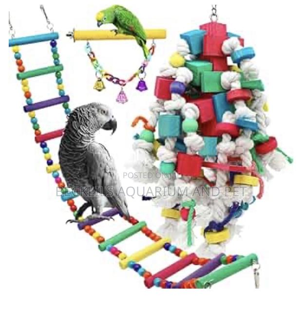 Parrot Play Toys · Photo 1