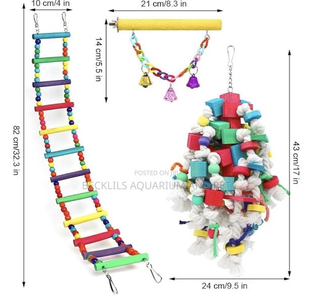 Parrot Play Toys · Photo 3