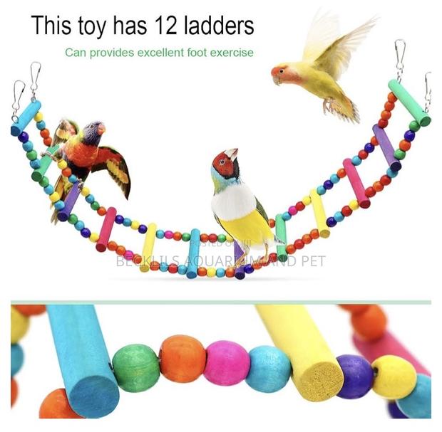 Parrot Play Toys · Photo 4