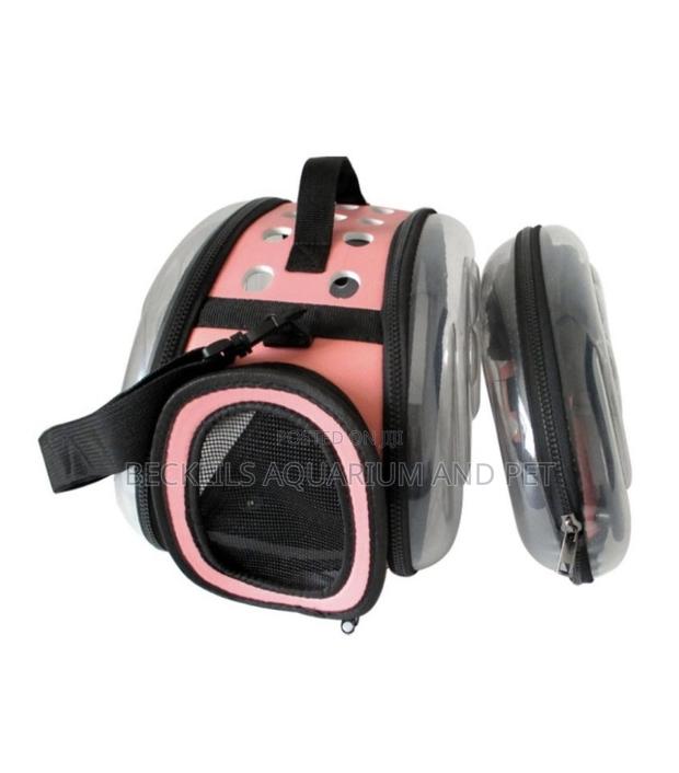 Cat and Dogs Transparent Carrier Cage · Photo 1