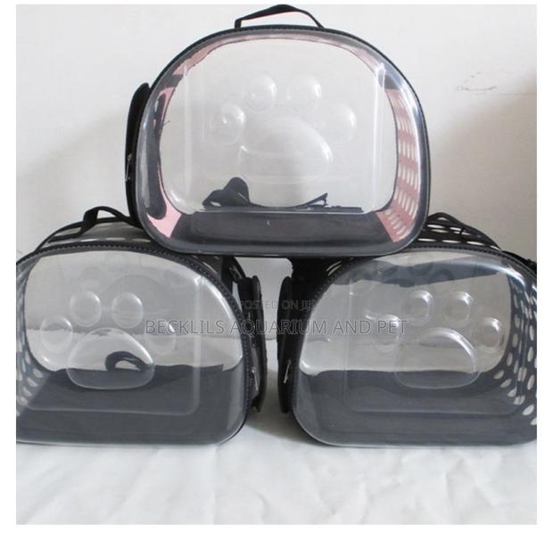 Transparent Dog Carrier · Photo 1