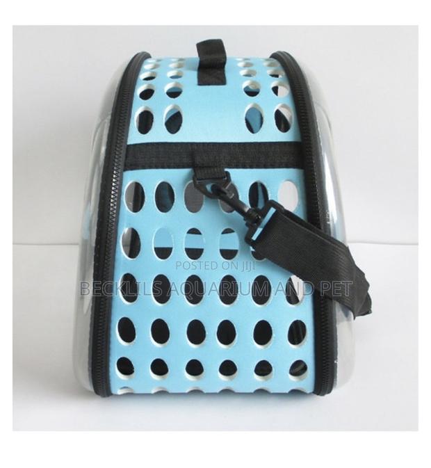 Transparent Dog Carrier · Photo 2