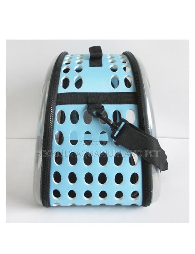 Transparent Dog Carrier · Photo 3
