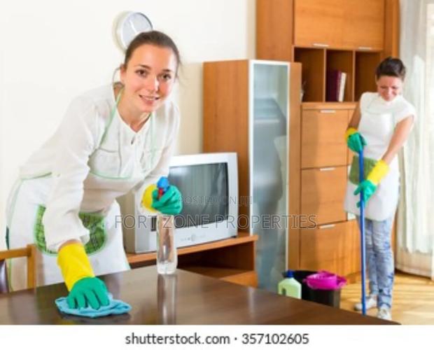 Metro Cleaning and Fumigation Services · Photo 4