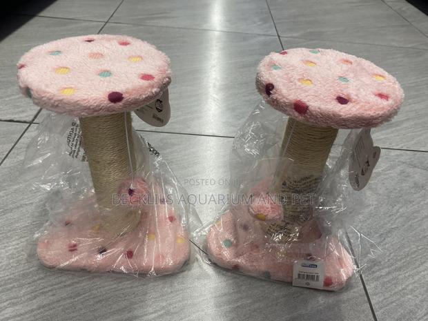 Pink Cat Scratching Post · Photo 4